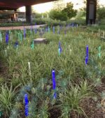 Музей Набережной Бранли